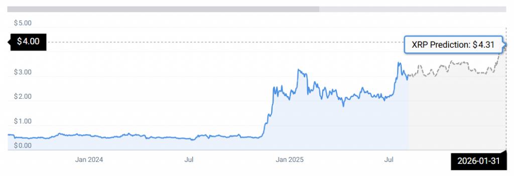 XRP STATS