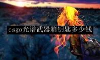 csgo光谱武器箱钥匙多少钱