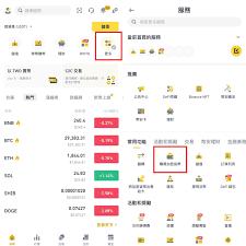 币圈新手该买哪种币