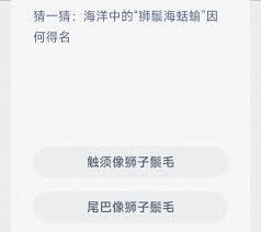神奇海洋每日科普问答202.3.5答案是什么