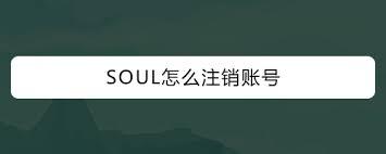 Soul账号怎么注销