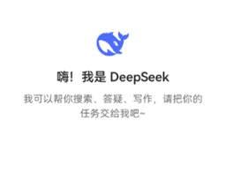 Deepseek搜索时如何查看更多相关结果