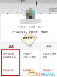 网易云怎么布置唱片架
