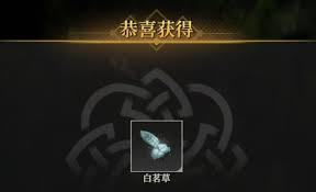 地下城堡4骑士与破碎编年史中白茗草怎么打