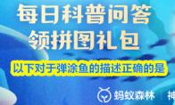 以下对于弹涂鱼的描述正确的是