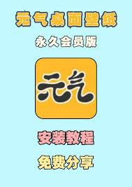 元气桌面壁纸如何兑换会员