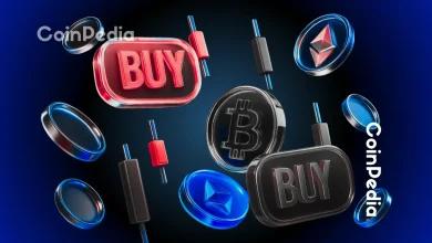 最值得购买的山寨币：DOGE 和 XRP 与 BNB 并驾齐驱