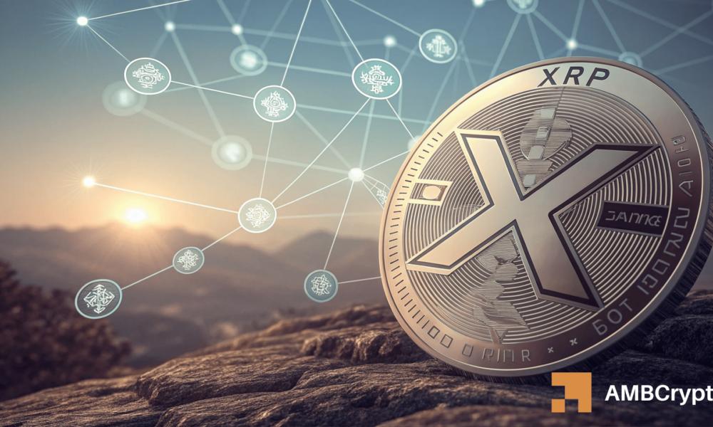 XRP ETF 炒作 [激增] – 然而这些链上指标发出警告！