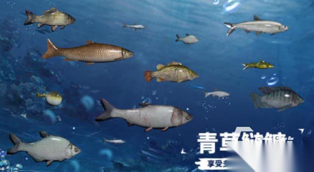 最火的捕鱼游戏排行 免费的钓鱼游戏盘点2025