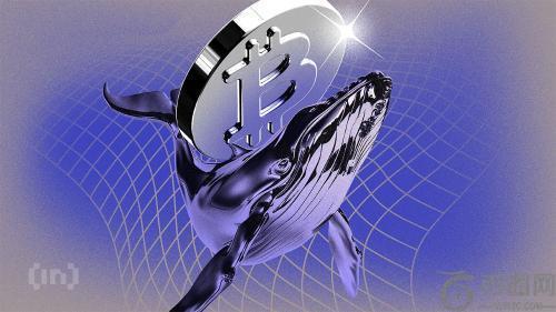 MicroStrategy暂停比特币购买引发市场猜测