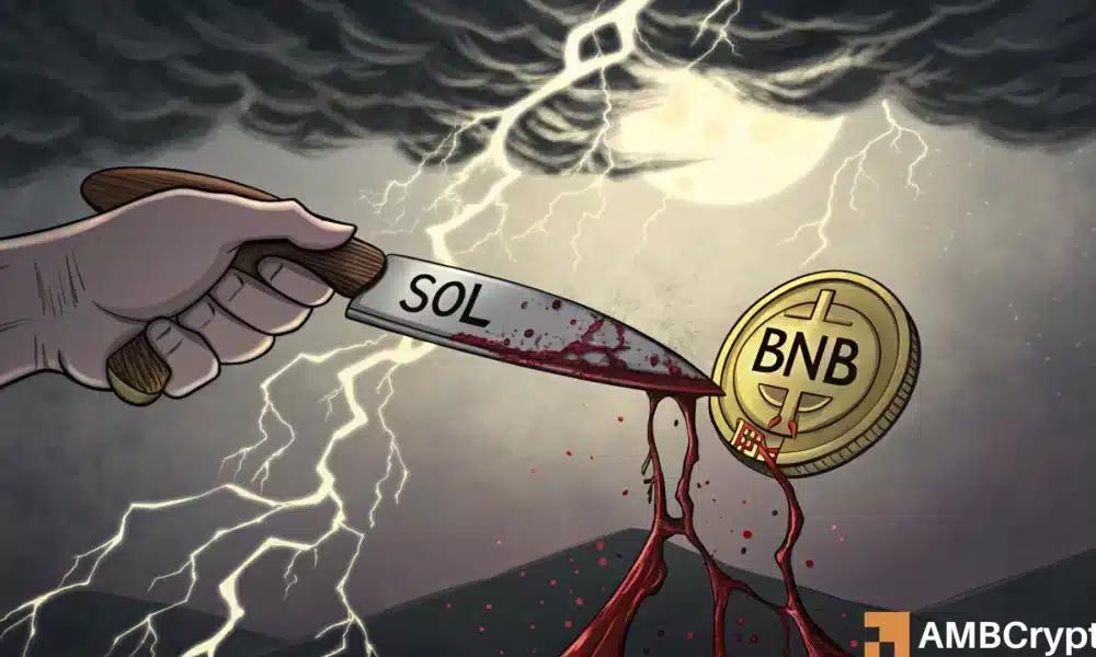 BNB链表情包暴跌95%！交易员为何关注Solana的回归