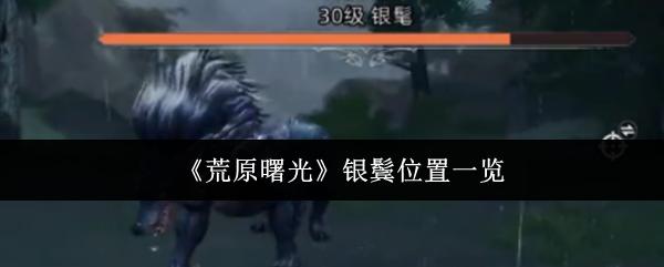 荒原曙光 银鬓位置一览