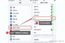 苹果手机如何设置Siri唤醒