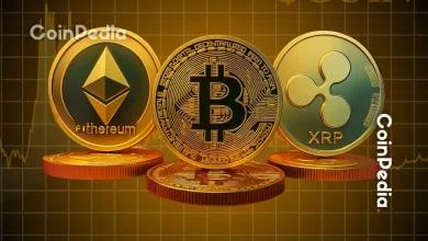 为什么比特币、以太坊和 XRP 今天上涨