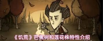 饥荒中芭蕉树和莲花株有啥作用