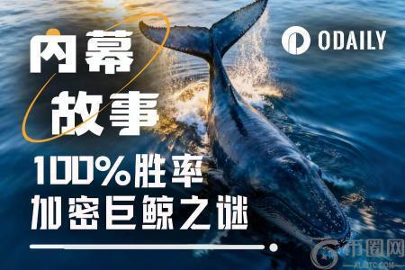 揭秘加密巨鲸100%胜率背后：特朗普派系内幕人士的真实身份