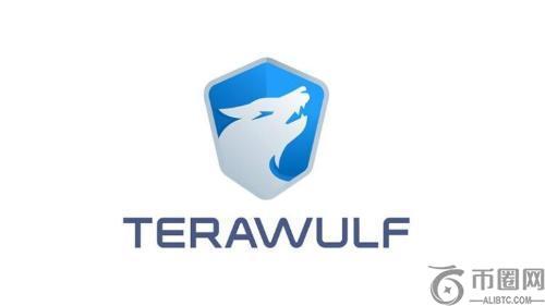 TeraWulf拟发行5亿美元可转换债券，助力人工智能数据中心扩展