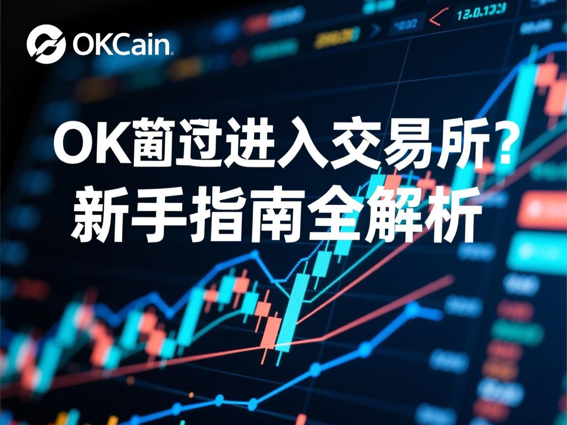 怎么通过OKCoin进入交易所 新手指南全解析