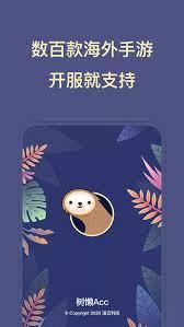 树懒acc初始化失败如何解决