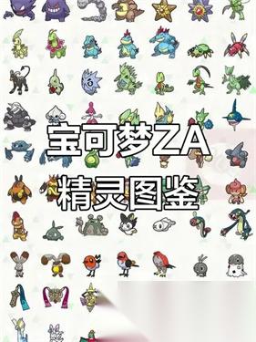 宝可梦传说za亲密度怎么看