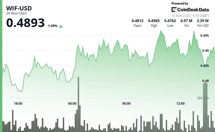 WIF股价一度飙升5%至0.497美元，随后因获利回吐而回落。