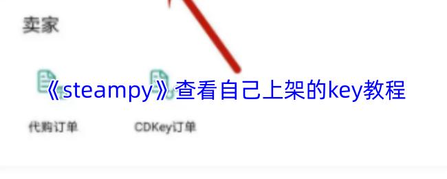 steampy 查看自己上架的key教程