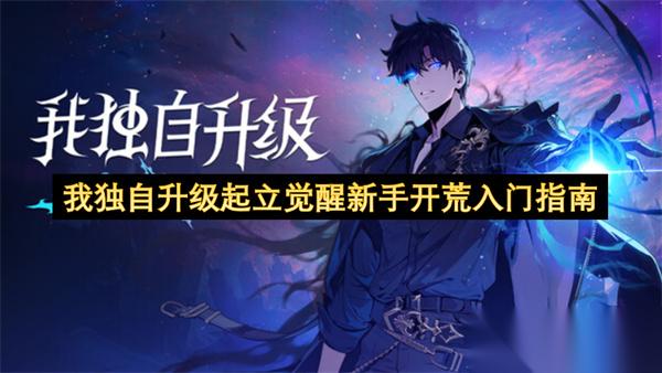 我独自升级起立觉醒新手开荒入门指南