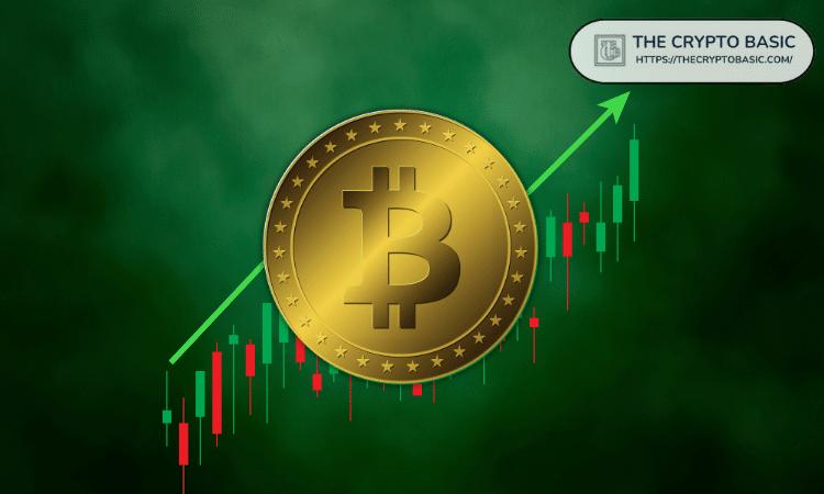 美联储12月降息概率高达87%，比特币价格或将如何波动