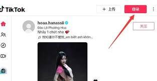 tiktok网页版国际入口在哪