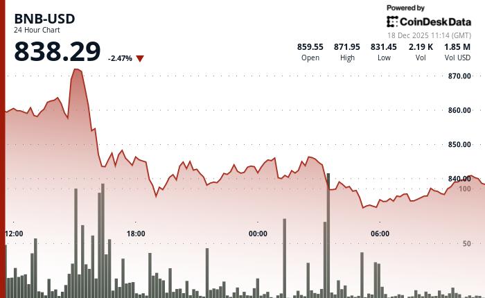 尽管价格下跌，抛售压力不断增加，BNB 仍保持着加密货币现货市场第四大的地位。