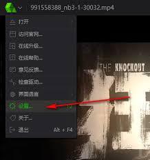 爱奇艺万能播放器如何设置仅音乐从头继续播放