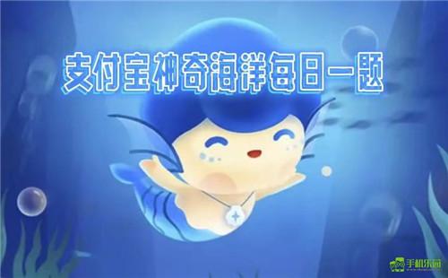 蚂蚁森林神奇海洋2026年1月5日答案