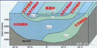 世界大洋的底层水主要来自哪里