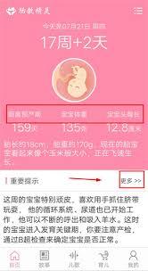 胎教精灵app如何使用
