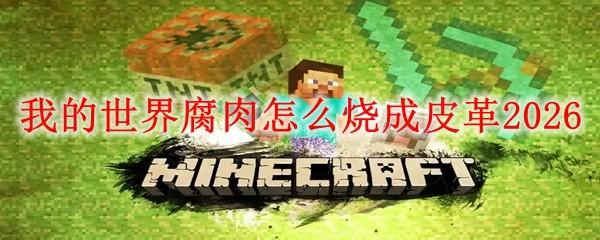 我的世界腐肉怎么烧成皮革2026