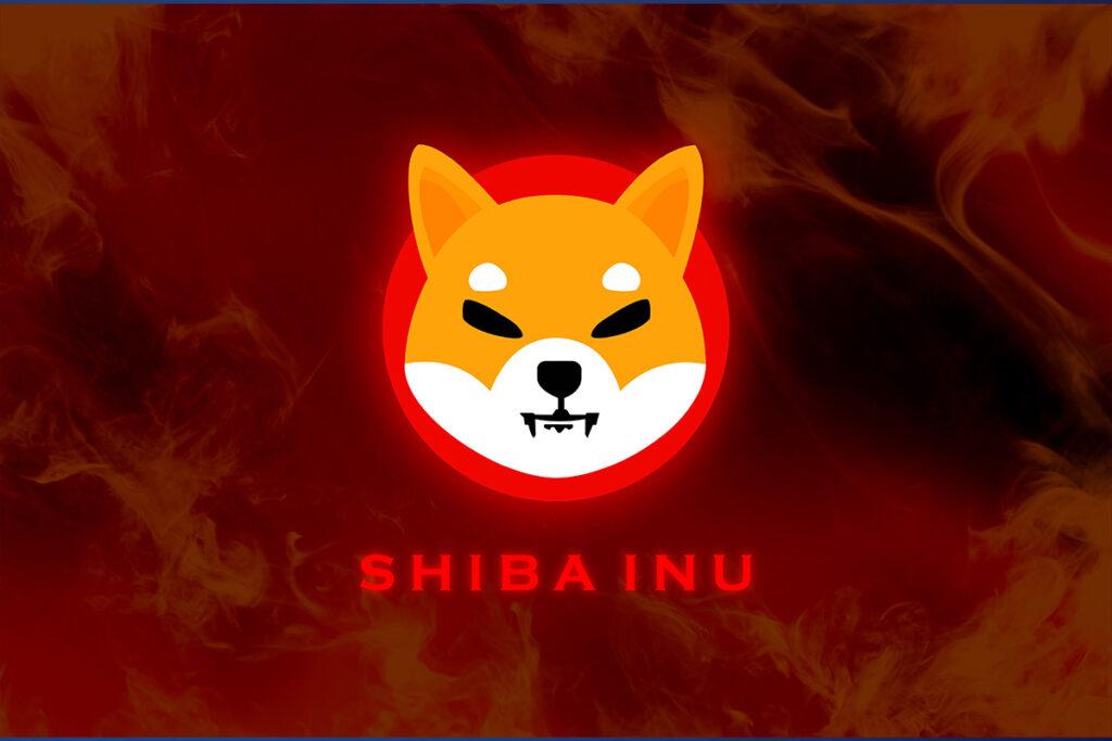 狗狗币和柴犬币（SHIB）有何区别 两者谁的生态更完善