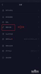 Soul怎么清除缓存