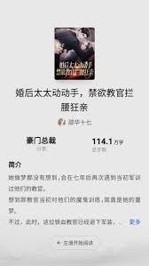 红烛小说app如何设置阅读参数