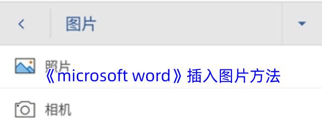 Microsoft Word 插入图片方法