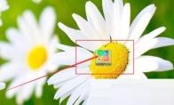 360软件管家登录方式怎么查看