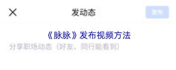 脉脉如何发视频