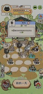 猫神牧场前期如何选择口粮