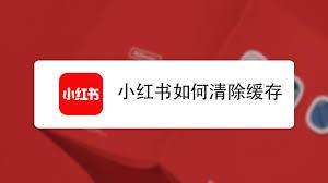 小红书视频播放卡顿怎么办