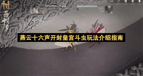 燕云十六声开封皇宫斗虫玩法介绍指南