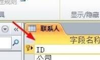 access中如何对字段进行智能标志