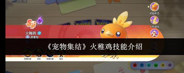 宠物集结 火稚鸡技能介绍