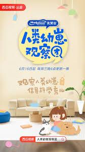 育儿宝里怎么进行关注
