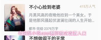 布袋鼠小说app如何设置翻页模式
