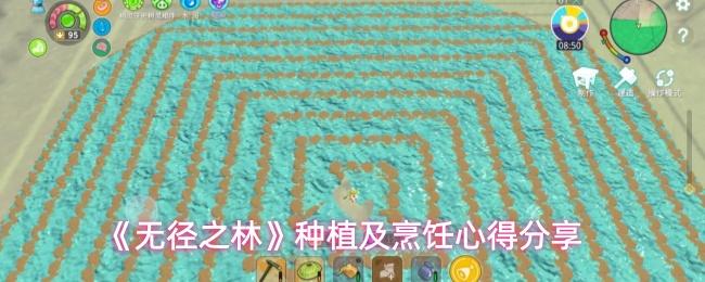 无径之林 种植及烹饪心得分享