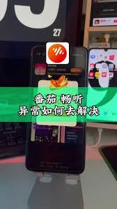 番茄免费小说一直显示网络错误怎么办